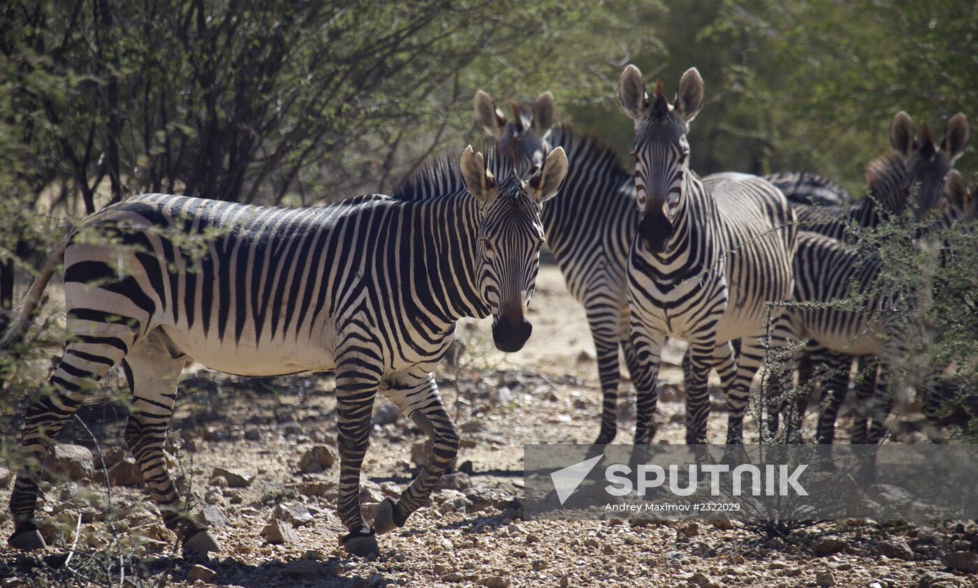 Countries of the world. Namibia
