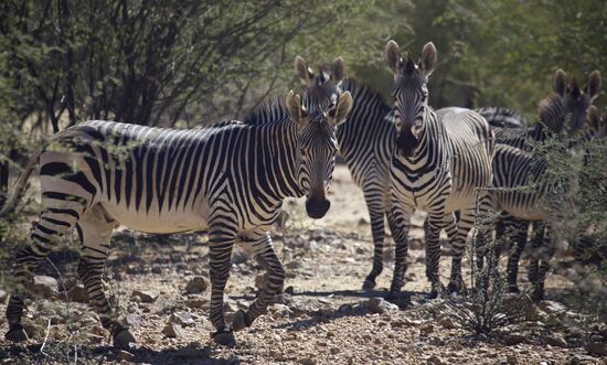 Countries of the world. Namibia