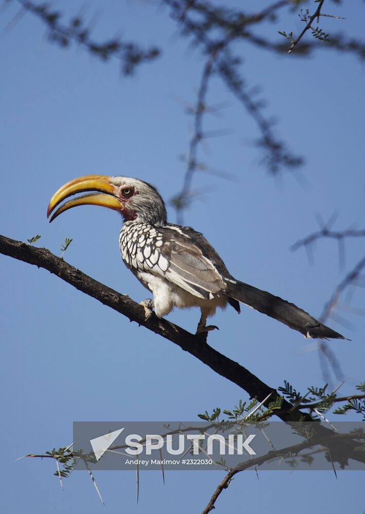 Countries of the world. Namibia