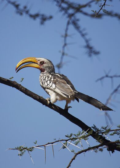 Countries of the world. Namibia