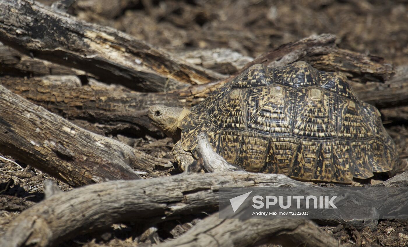Countries of the world. Namibia