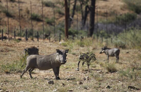Countries of the world. Namibia