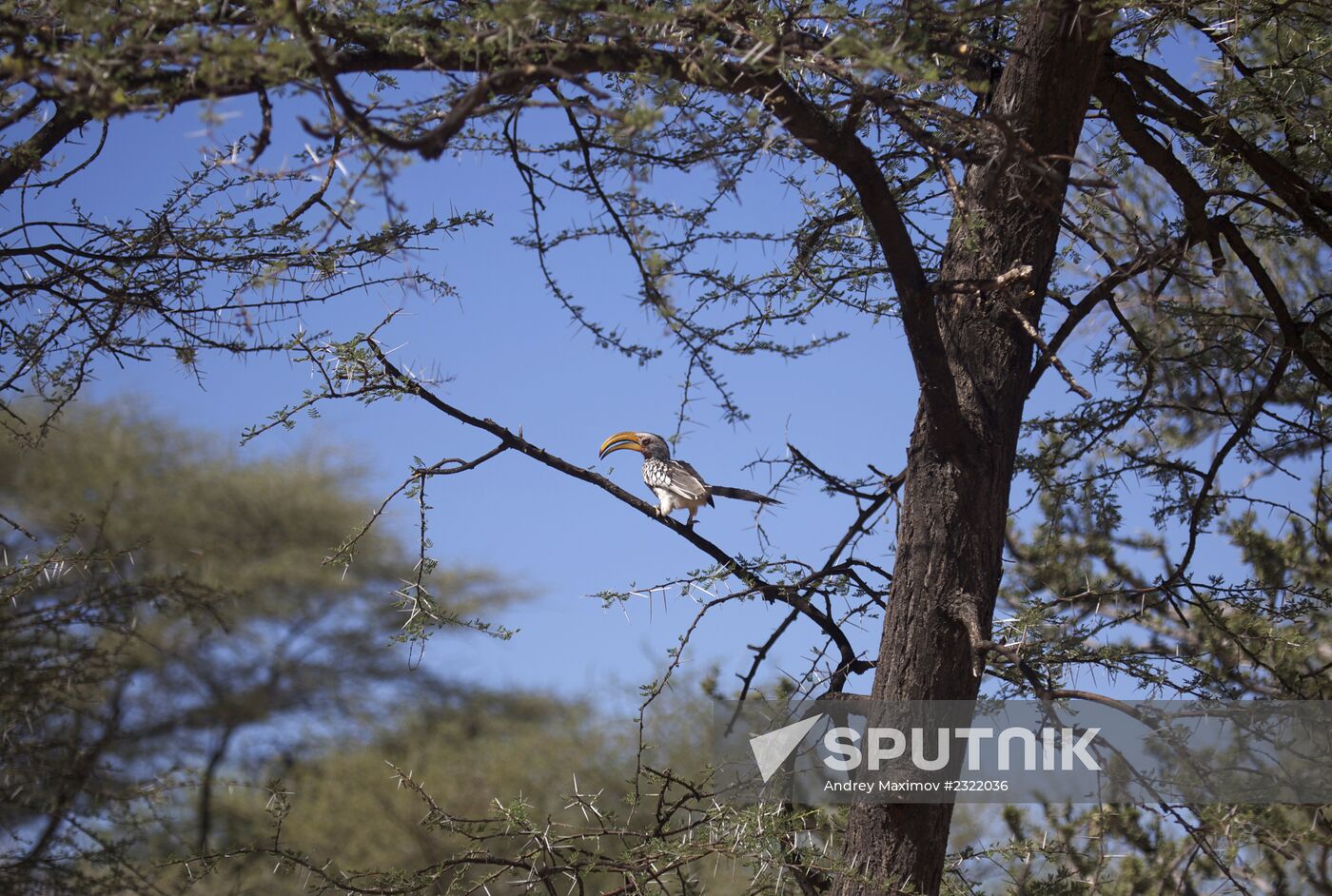 Countries of the world. Namibia