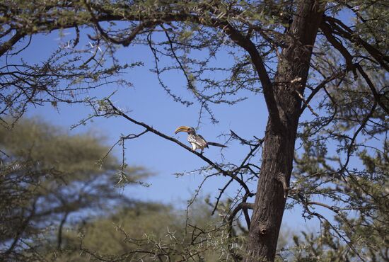 Countries of the world. Namibia
