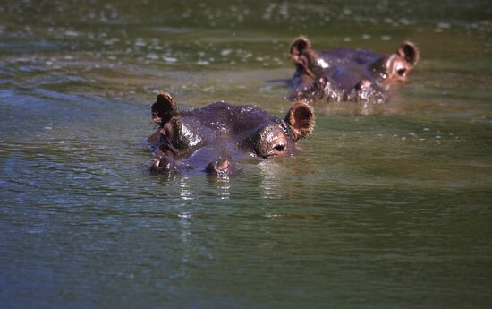 Countries of the world. Namibia