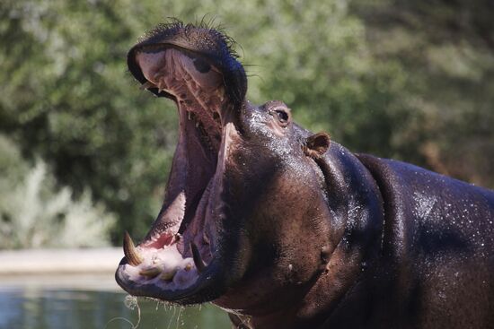 Countries of the world. Namibia