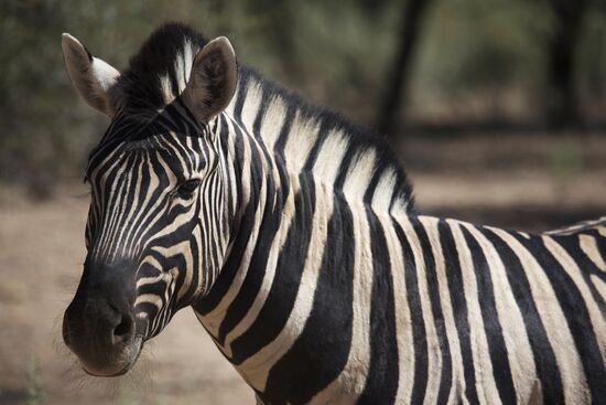 Countries of the world. Namibia