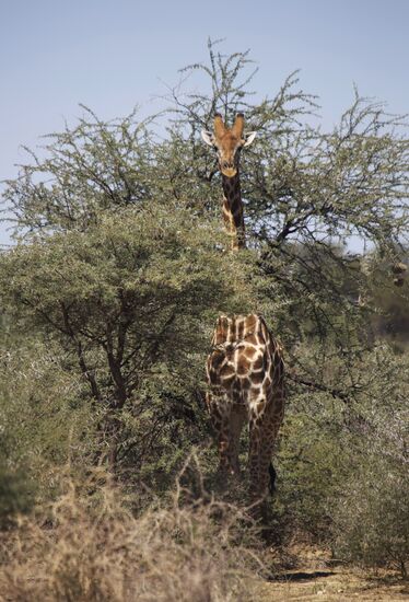 Countries of the world. Namibia