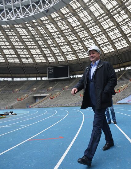 Renovation of Luzhniki stadium for 2018 football World Cup
