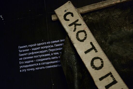 Kseniya Peretrukhina: Trying Alternatives exhibition at the Theatre on Taganka