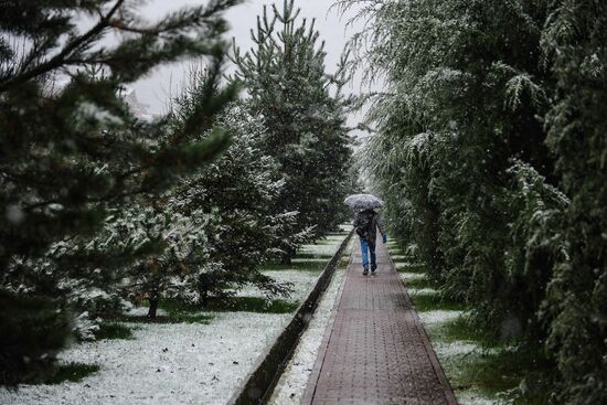 Snowfall in Krasnaya Polyana