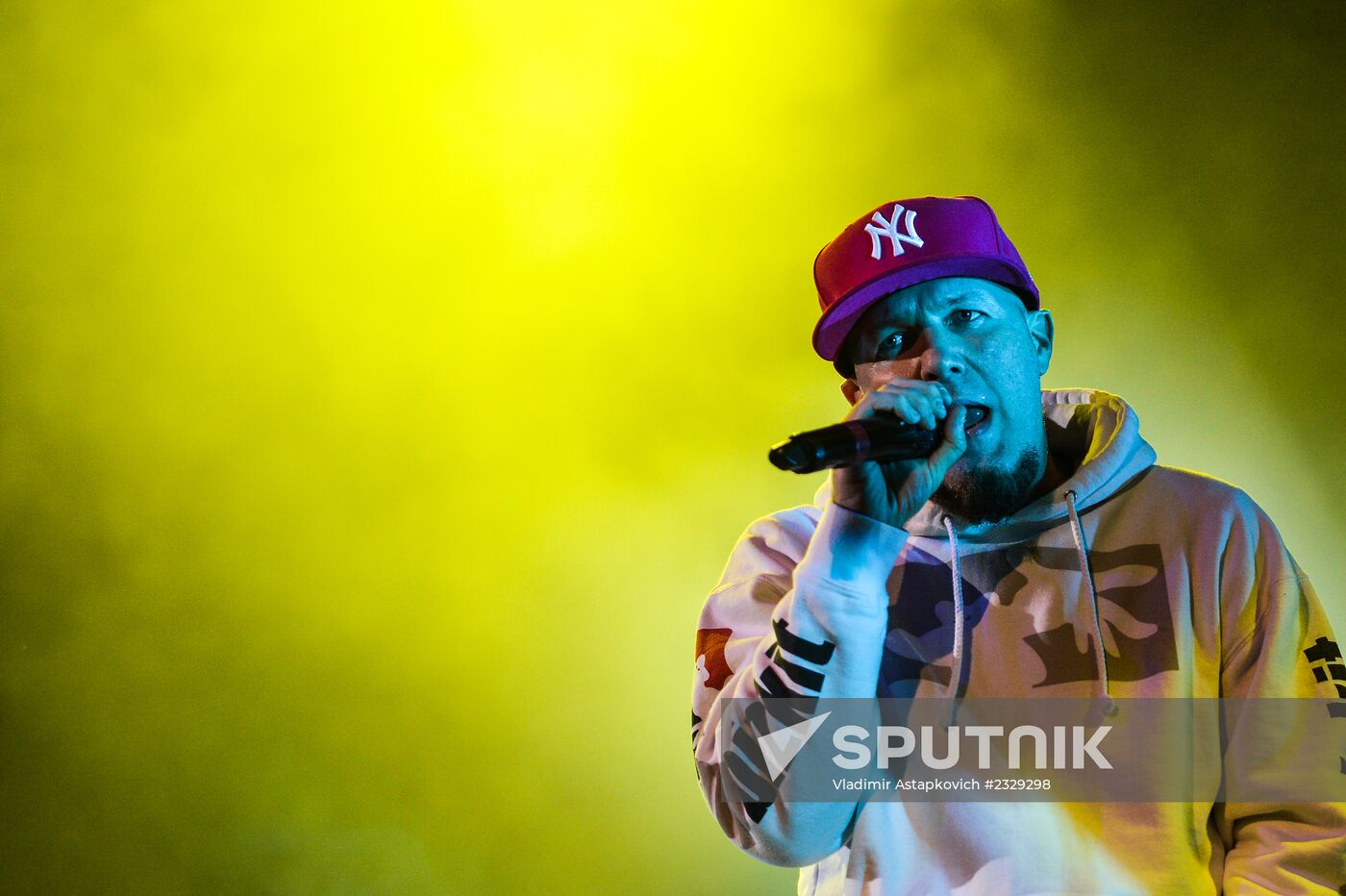 Limp Bizkit's concert