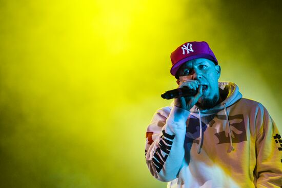 Limp Bizkit's concert