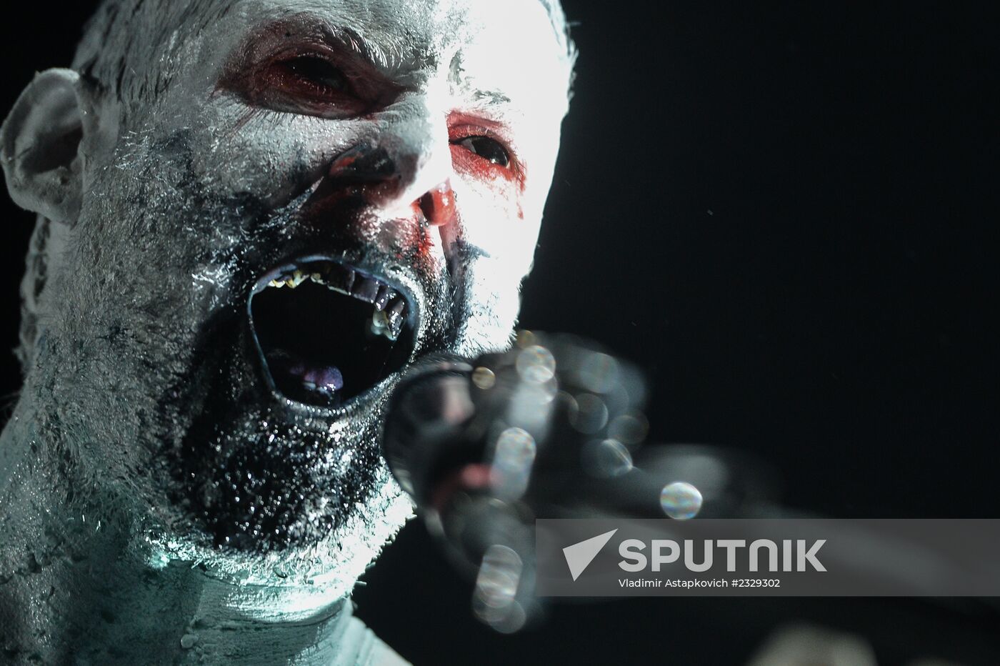 Limp Bizkit's concert