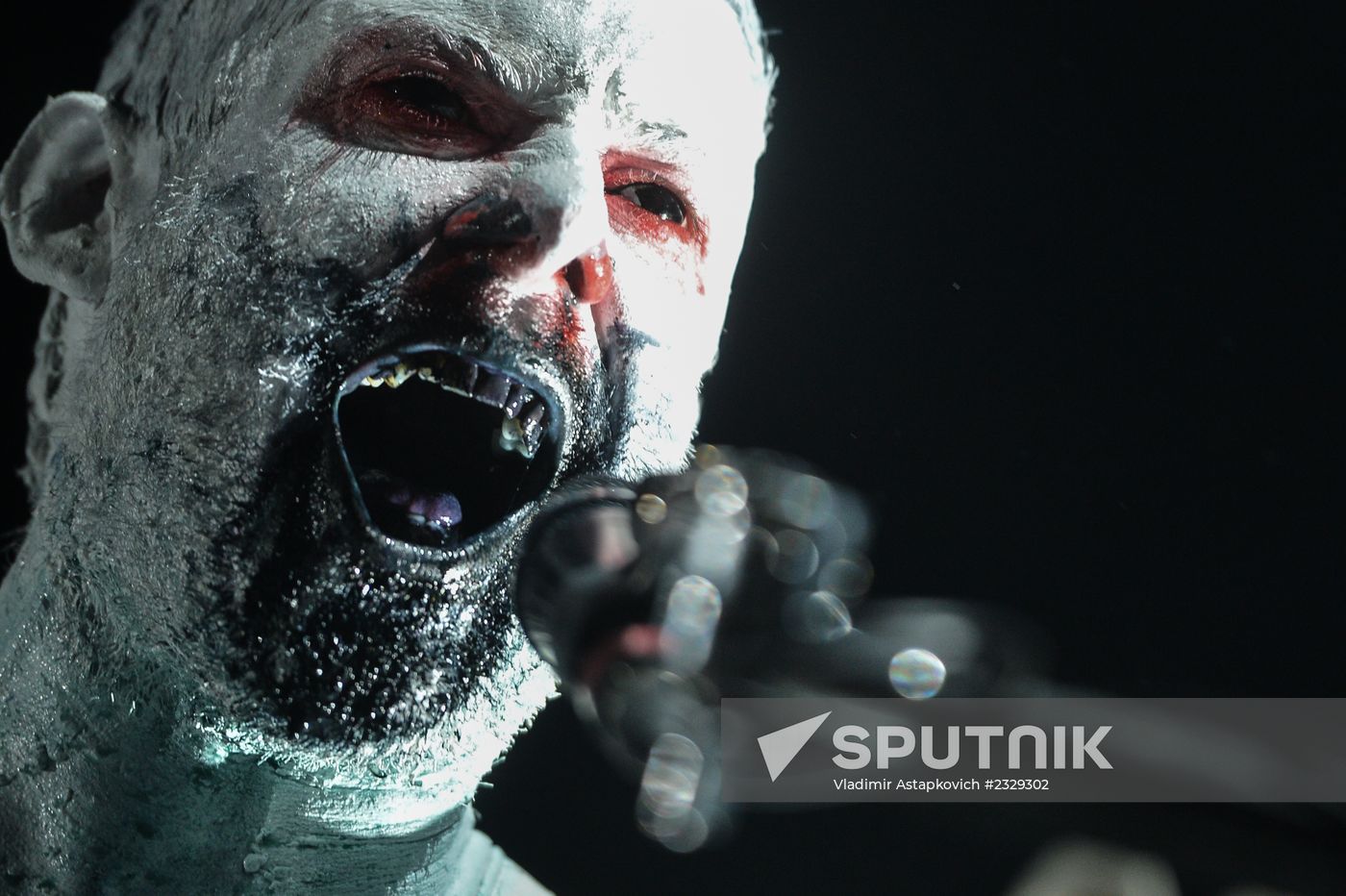 Limp Bizkit's concert