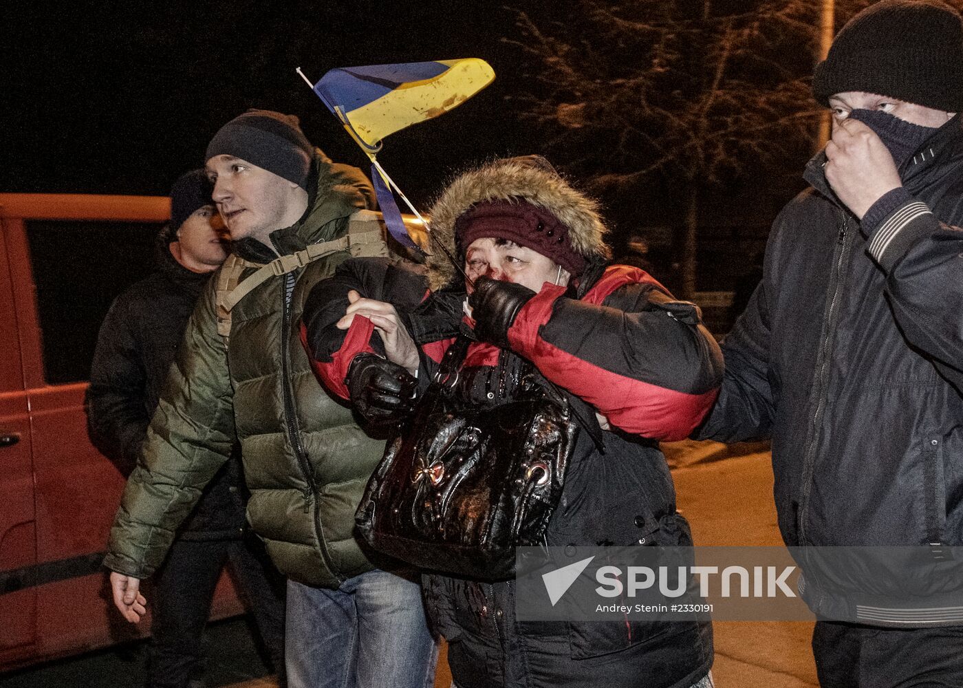 Rally to support Ukraine's EU integration