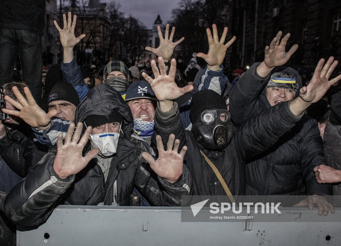 Rally to support Ukraine's EU integration