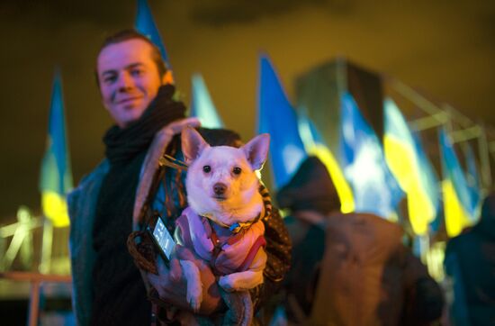 Rally to support Ukraine's EU integration
