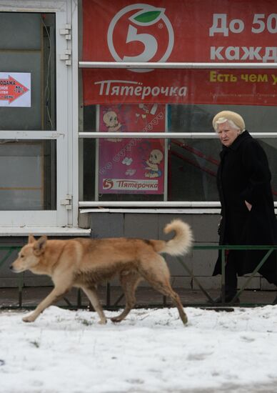 Pyatyorochka store in Moscow