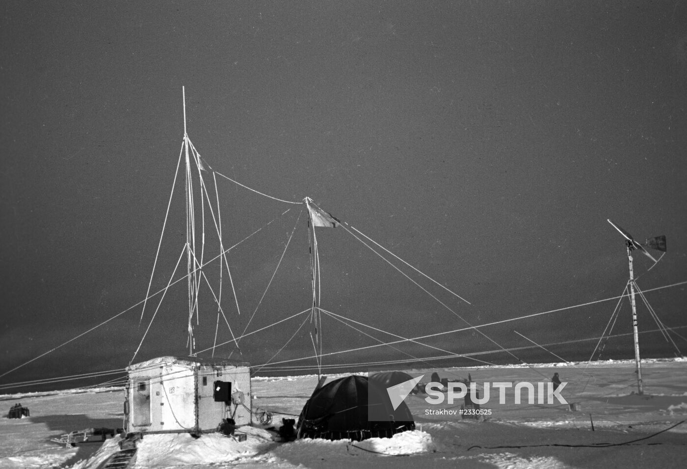 Polar explorers