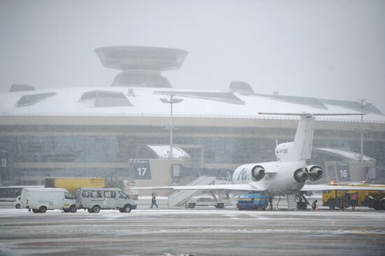 Runway opened after reconstruction at Vnukovo Airport