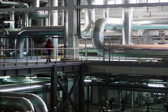 Adler Thermal Power Station