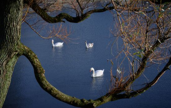 Countries of the World. Norway