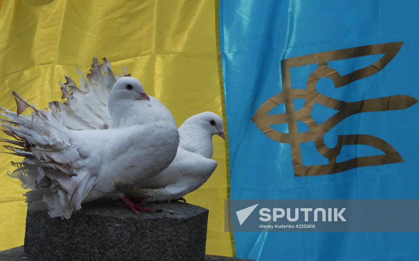 Developments in Ukraine