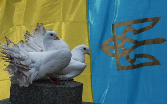 Developments in Ukraine