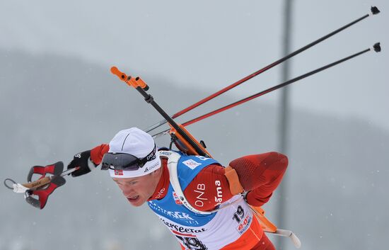 Biathlon. World Cup second stage. Men. Sprint