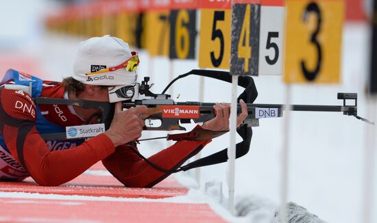 Biathlon. 2nd stage of World Cup. Mens' sprint