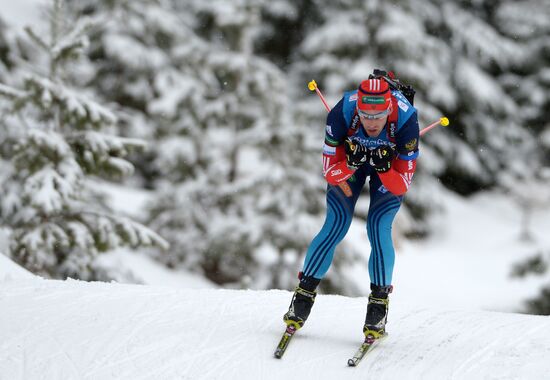Biathlon. World Cup second stage. Men. Sprint