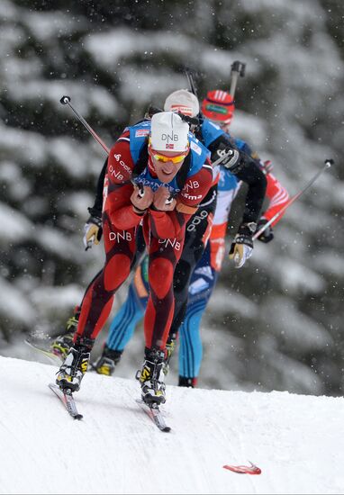 Biathlon. 2nd stage of World Cup. Mens' sprint