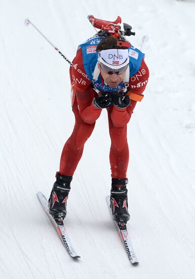 Biathlon. 2nd stage of World Cup. Mens' sprint