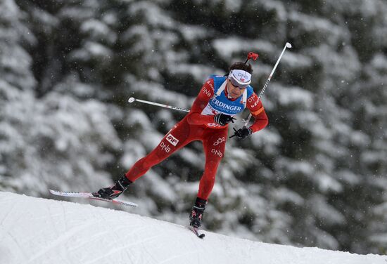 Biathlon. 2nd stage of World Cup. Mens' sprint