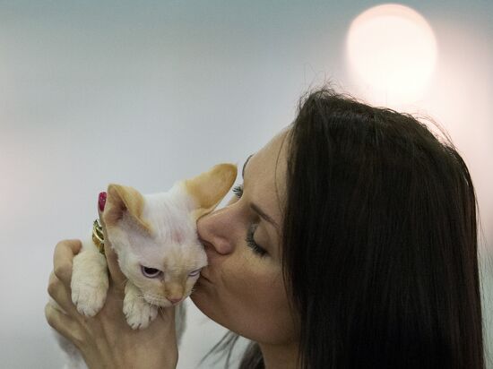 Grand Prix Royal Canin 2013 international cat show