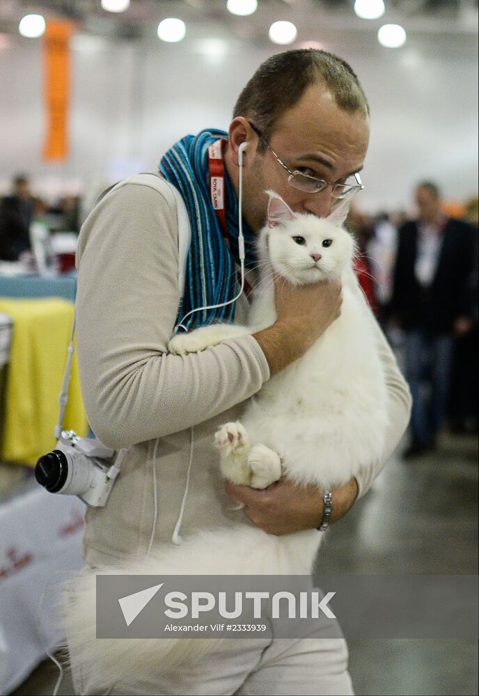 Grand Prix Royal Canin 2013 international cat show
