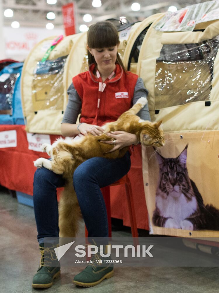 Grand Prix Royal Canin 2013 international cat show