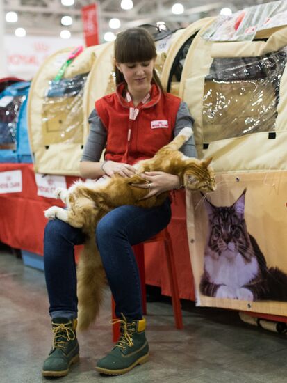 Grand Prix Royal Canin 2013 international cat show