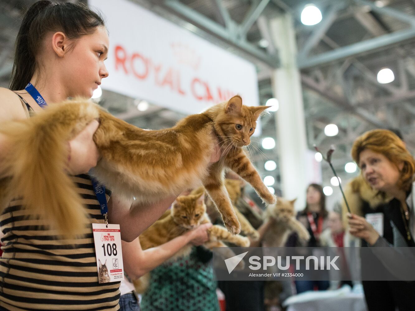 Grand Prix Royal Canin 2013 international cat show