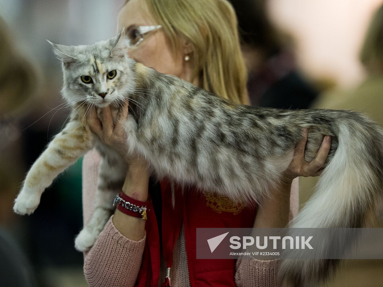 Grand Prix Royal Canin 2013 international cat show