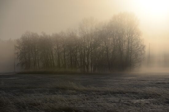 Logging in Novosibirsk Region