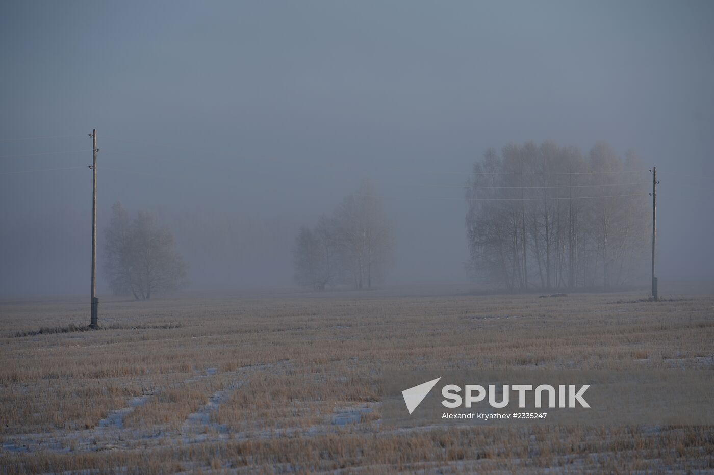 Logging in Novosibirsk Region