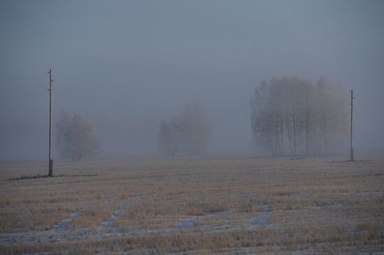 Logging in Novosibirsk Region