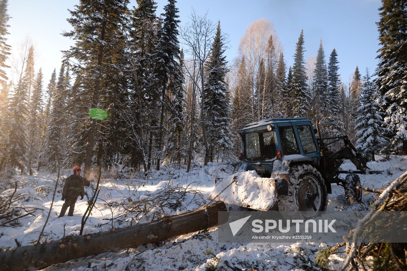 Logging in Novosibirsk region