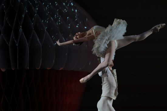 New production of Pyotr Tchaikovsky's ballet The Nutcracker at the Mikhailovsky Theater