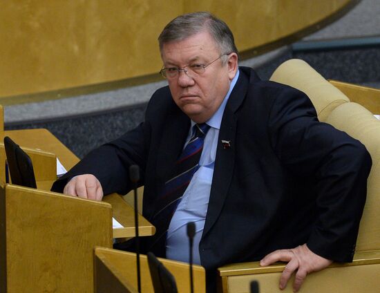 State Duma plenary meeting