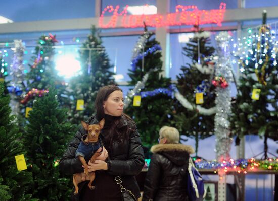 Sale of holiday decorations in Veliky Novgorod
