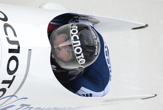 Bobsleigh World Cup. Stage 4. Two-man race