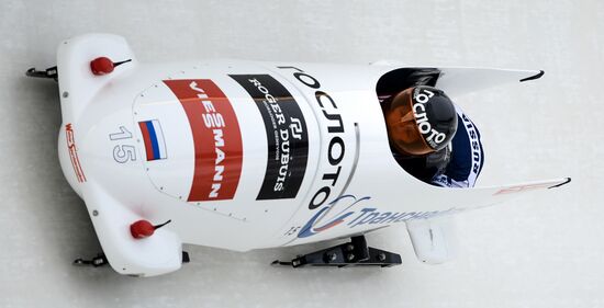 Bobsleigh World Cup. Stage 4. Two-woman race
